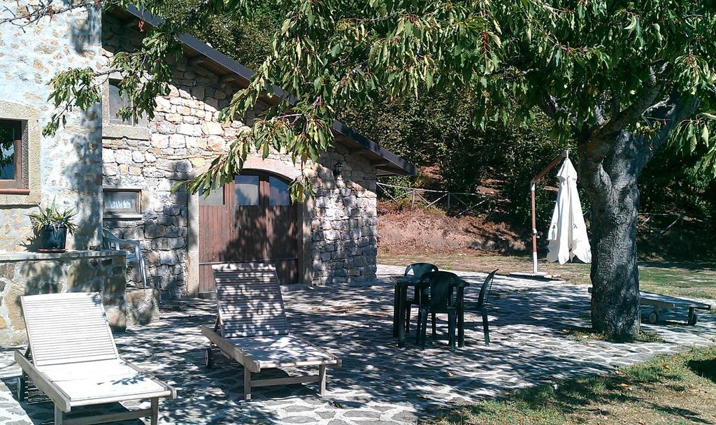 Agroturismo Il Vignale *