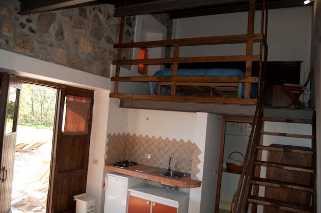 Farm stay Agriturismo Il Vignale *